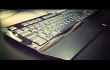 RAzerArctosa