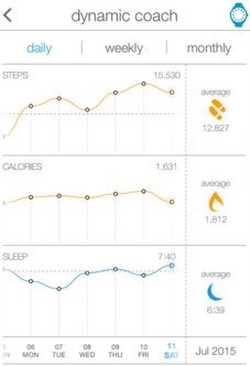 motionx_dynamic