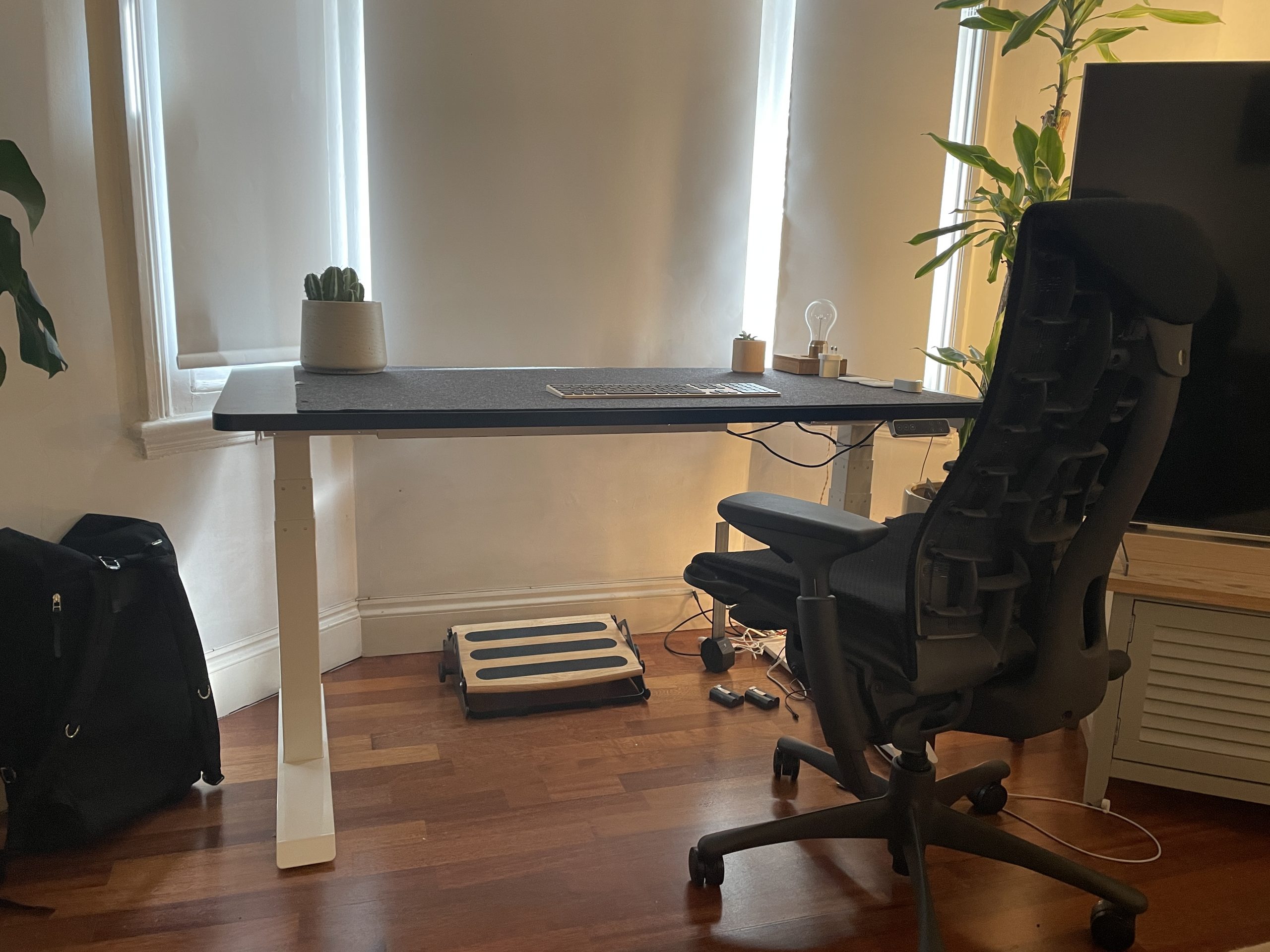 FlexiSpot E7 standing desk review